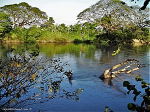 Archivo:Río Guanare