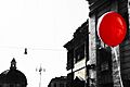 Red (63310221)