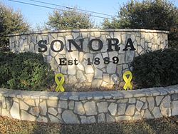 Sonora, TX, welcome sign IMG 1381.JPG