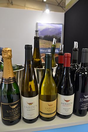 Archivo:Vinisud 2017 - gamme de vins israéliens - région Galillée