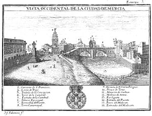 Archivo:Vista occidental de la Ciudad de Murcia