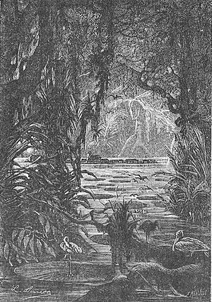 Archivo:'Eight Hundred Leagues on the Amazon' by Léon Benett 42