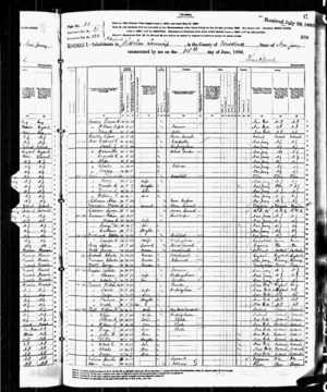 1880 census Edison.gif