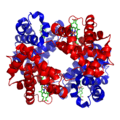 1GZX Haemoglobin