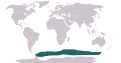 Distribución del lobo marino antártico