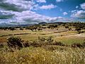 Aracena23te