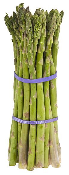 Archivo:Asparagus-Bundle