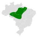 Automolus paraensis map