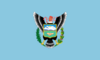 Bandera Yungay oficial.png