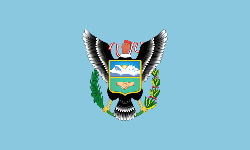 Bandera Yungay oficial