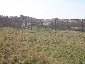 Archivo:BirdTrap SpurnPoint