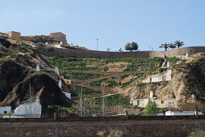 Archivo:Casas Cueva en la cuesta de la Pava de Puerto Lumbreras
