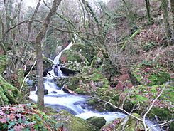 Cascadas de Muiños de Parafita - panoramio.jpg