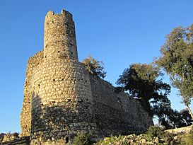 Castell de Sant Iscle.JPG