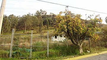 Archivo:Cerro de Moctezuma Naucalpan