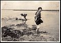 Clam digging on the Shore of Japan (1915 by Elstner Hilton)