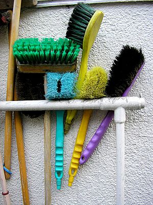 Archivo:Cleaning brushes