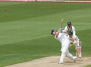 Archivo:Collingwood in the 2009 Ashes at Cardiff