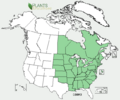 Corylus americana map