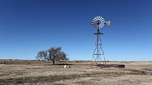 Archivo:Curry County Eastern New Mexico 2010