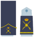 Ejerairedivies26