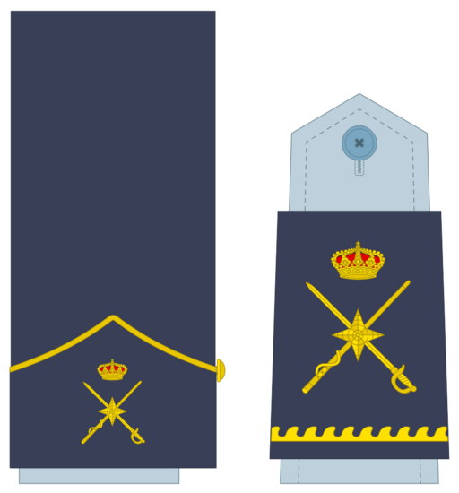 Ejerairedivies26