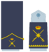 Ejerairedivies26.svg