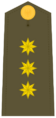 Ejerespadivi21