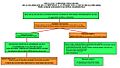Enfermedad Celíaca - Diagrama errores diagnósticos.DIETA
