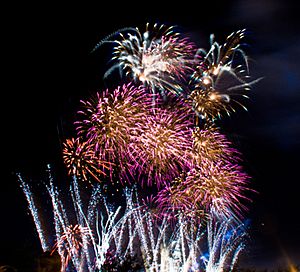Archivo:Fireworks in monterrey