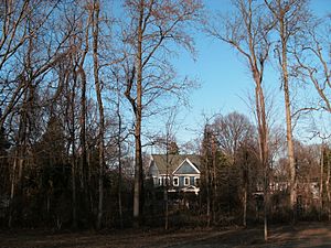 Archivo:FortHuntHouses