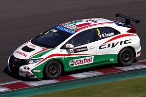 Archivo:Gabriele Tarquini 2013 WTCC Race of Japan (Practice 2)