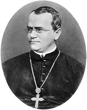 Archivo:Gregor Mendel oval