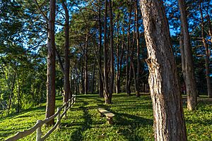 Archivo:Khao Kho-4