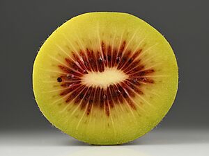 Archivo:Kiwifruit 'Red Passion' cross section - Italy