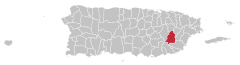 Locator-map-Puerto-Rico-San-Lorenzo.svg