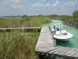 Archivo:México - Sian Ka'an, Boat Tour