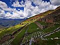 Machu Collca Vista