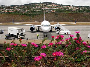 Archivo:Madeira Airport - June 2008
