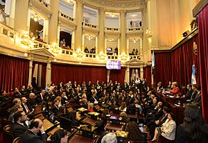 Michelle Bachelet at the Argentine Senate.jpg