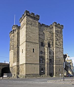 Archivo:Newcastle schloss