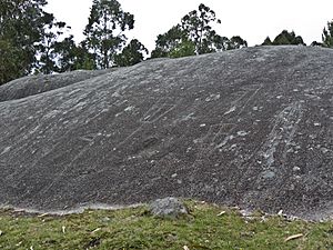 Archivo:Panel nº 1 de Auga da Laxe - Gondomar