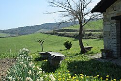 Pequeño jardín Oceca - panoramio.jpg