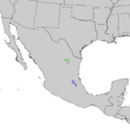 Pinus greggii range map 1