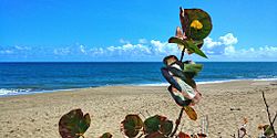 Playa Parchola, Dorado, Puerto Rico.jpg