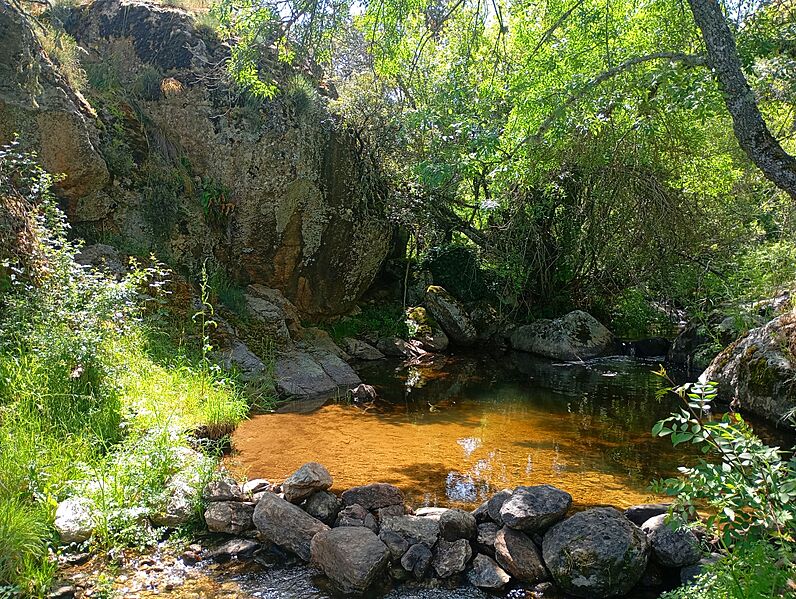 Poza de La Tomasa