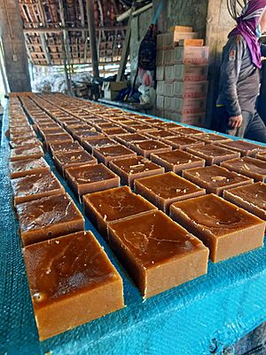 Archivo:Produccion de panela cinceleña . jpg