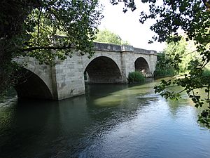 Archivo:Puente de Villoldo. Palencia