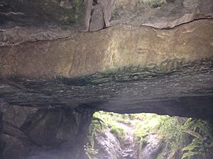 Archivo:Rathcroghan - 20170902170628