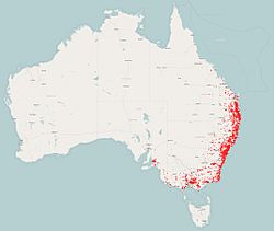 Distribución de P. rosea en Australia